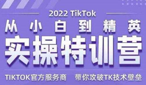 Seven漆《Tiktok从小白到精英实操特训营》带你掌握Tiktok账号运营-59爱分享
